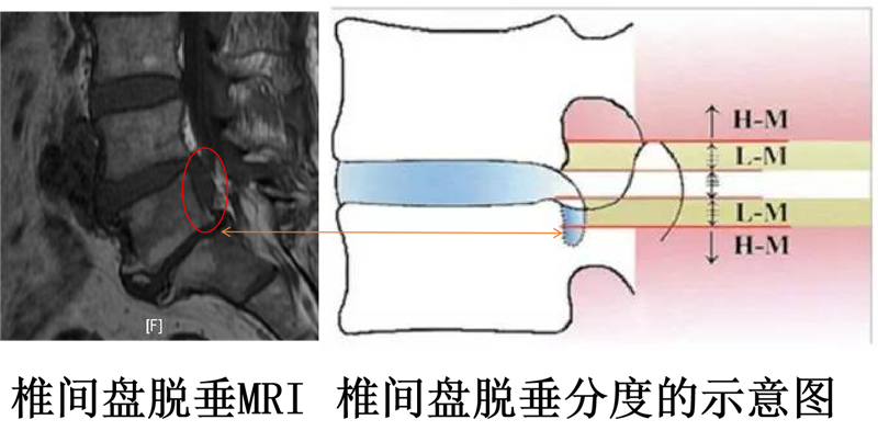 image008.png
