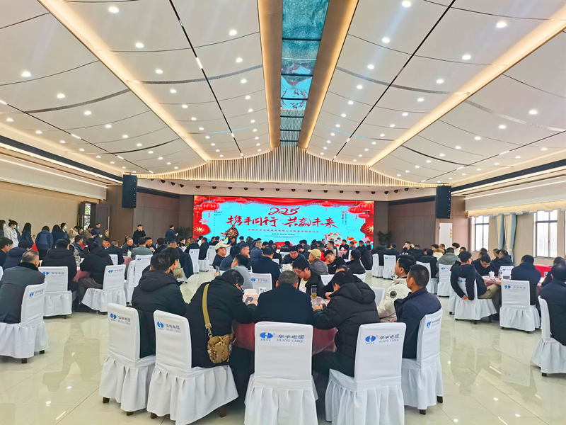 乘势而上，笃行不怠 ——安徽华宇集团举行2025年营销工作新春茶话会
