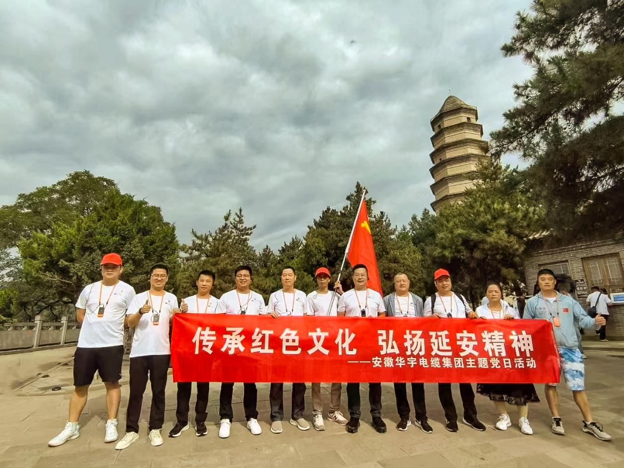               践行延安精神 筑牢信仰之基 —安徽华宇集团党支部、无为市工信局党总支联合...