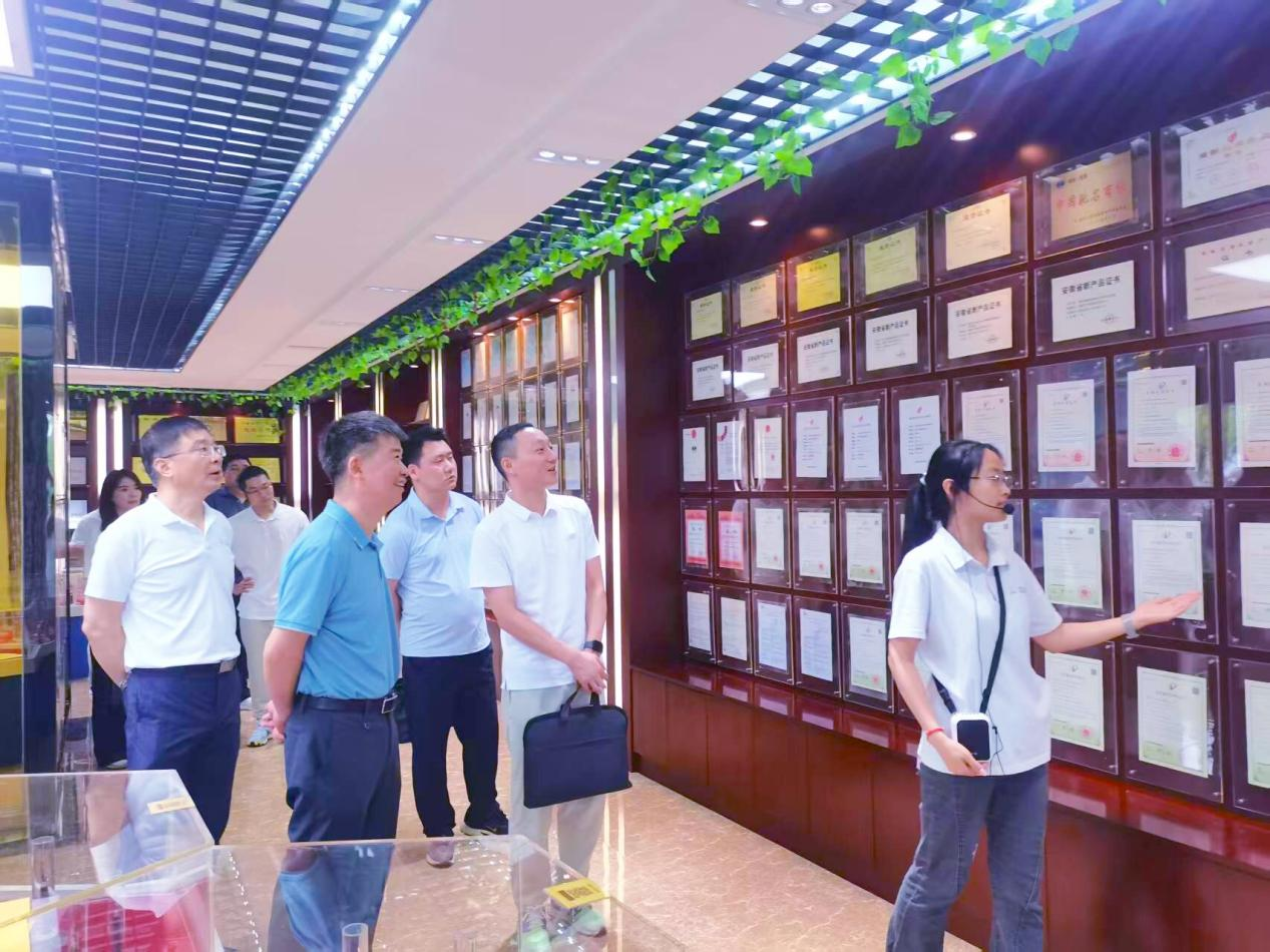 芜湖市园区非公企业党建工作调研组一行莅临华宇集团 调研验收省级“双强六好”创建工作